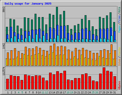Daily usage for January 2025