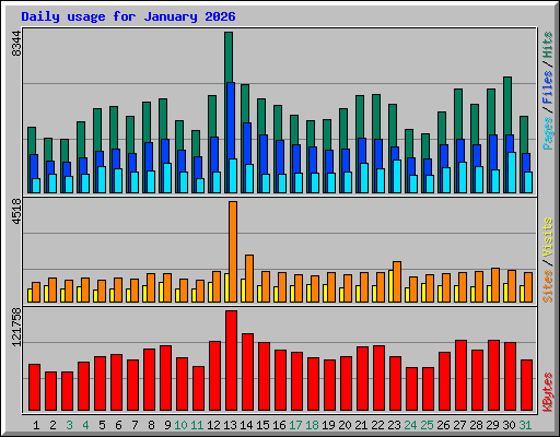 Daily usage for January 2026