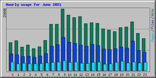Hourly usage for June 2021