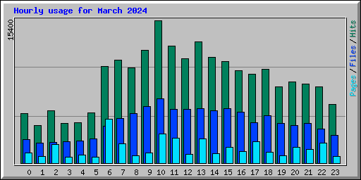 Hourly usage for March 2024
