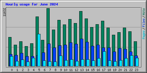 Hourly usage for June 2024