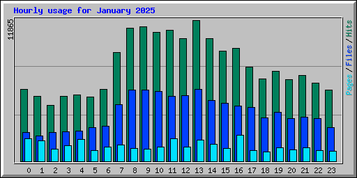 Hourly usage for January 2025