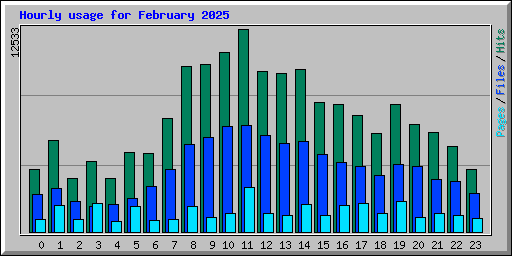 Hourly usage for February 2025