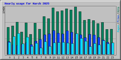 Hourly usage for March 2025