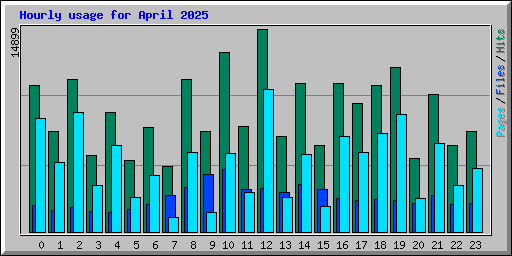 Hourly usage for April 2025