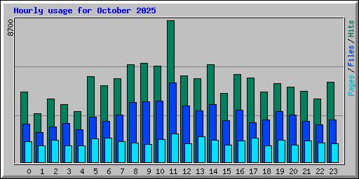 Hourly usage for October 2025