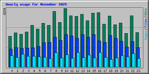 Hourly usage for November 2025