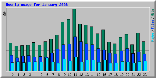 Hourly usage for January 2026