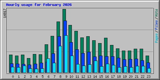 Hourly usage for February 2026