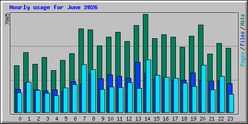 Hourly usage for June 2026