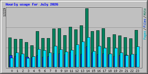 Hourly usage for July 2026