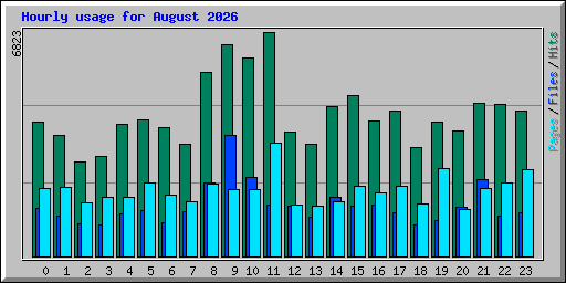 Hourly usage for August 2026
